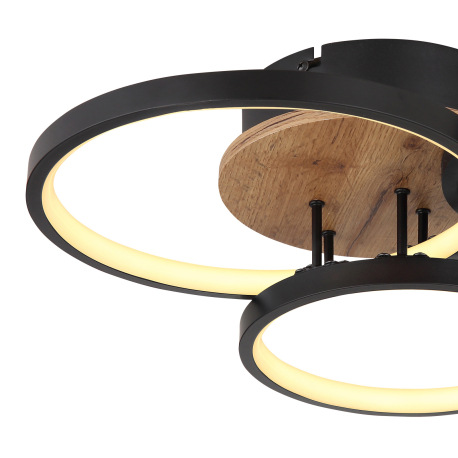 Stropné svietidlo, kov čierny, MDF vzhľad dreva, plast biely, DxŠxV:400x380x105mm, vrátane LED 30W 2 13