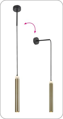Thelma 6