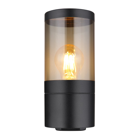 Vonkajšie svietidlo nerezová oceľ čierna matná, plast dymovej farby, smer svetla: nahor, IP44, ŠxV: 12