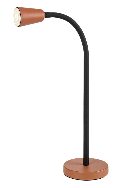 Aldo 7