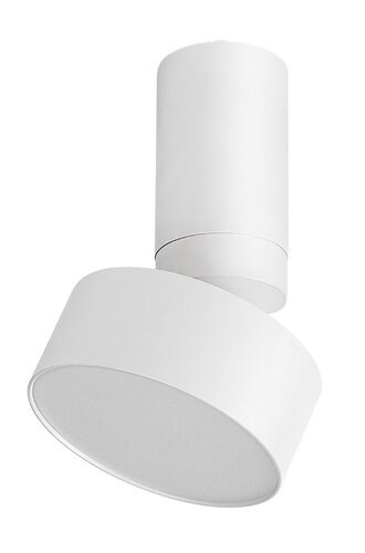 Ovidia 1