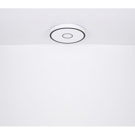 Stropné svietidlo,kov biely,plast opál/čierny,kompatibilné s Google Assistant a Alexa,časovač,pamäť, 13