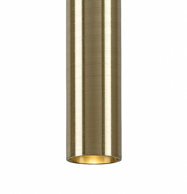 Thelma 16
