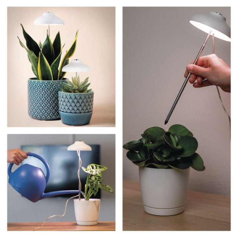 LED GROW pestovateľská lampa 5 W, časovač, biela 12