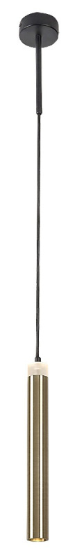 Thelma 11