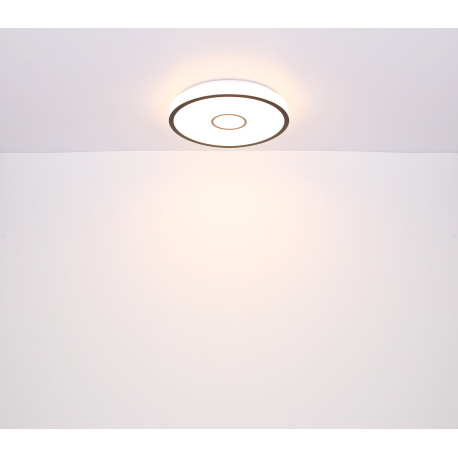 Stropné svietidlo,kov biely,plast opál/čierny,kompatibilné s Google Assistant a Alexa,časovač,pamäť, 12