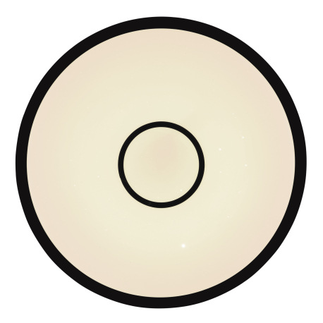 Stropné svietidlo,kov biely,plast opál/čierny,kompatibilné s Google Assistant a Alexa,časovač,pamäť, 17