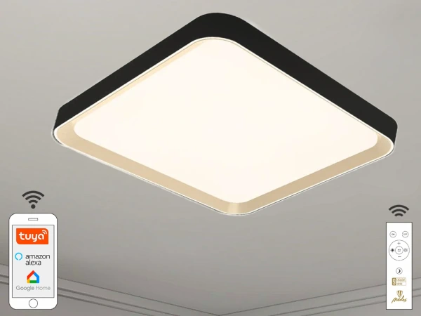 LED stropná lampa OPAL + diaľkový ovládač + Wifi 48W - LC902MB/S 3