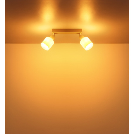 Nástenné svietidlo, kov, piesková matná, kov chrómovaný, sklo biele, DxŠxV: 280x80x185mm, bez žiarov 14