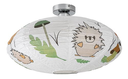 Hedgy 2