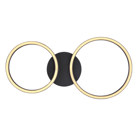 Stropné svietidlo, kov čierny matný, plast opál, priemer kruhu: 25cm a 20,5 cm, DxŠxV:490x245x70, vr 9