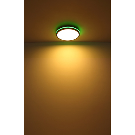 Stropné svietidlo kov čierny matný, biela, akryl biely, stmievateľné, niekoľko úrovní cez nástenný s 14