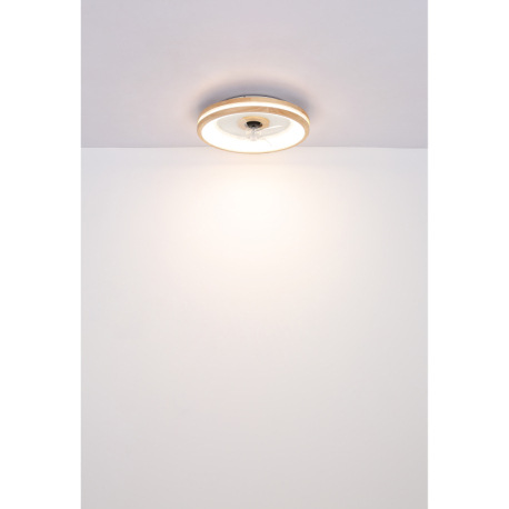 Stropný ventilátor kov biely, drevo, plast biely/transparent, stmievateľný, niekoľko úrovní cez nást 10