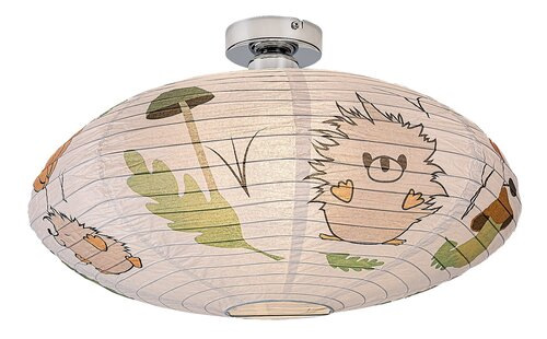 Hedgy 1