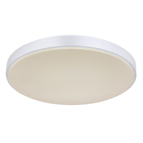 Stropné svietidlo, kov biely, plast strieborný, akryl biely, pamäťová funkcia, nočné svetlo, stmieva 17