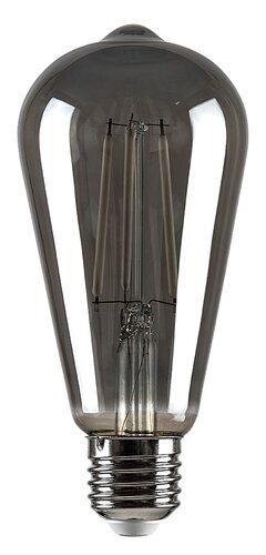 Filament-LED 1