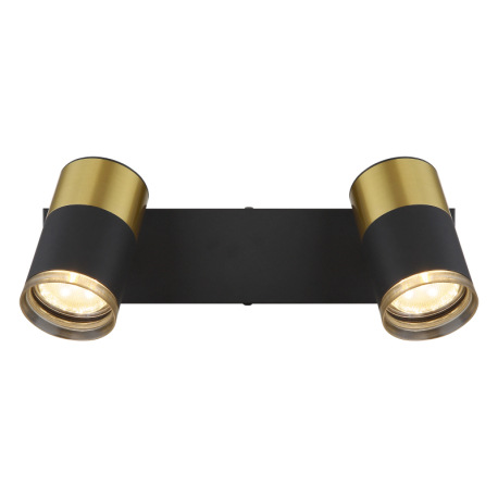 Nástenné svietidlo, kov čierny, hliník medený a čierny, plast dymový, DxŠxV: 260x60x120mm, bez žiaro 16