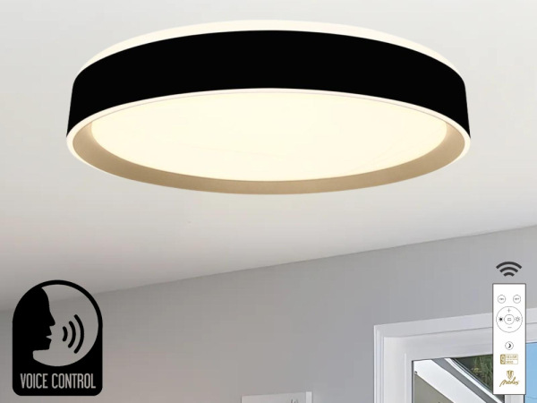 LED stropná lampa OPAL + DO + OVLÁDANIE HLASOM 48W - LC902MBV 1