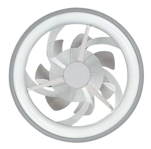 Fanricius 6