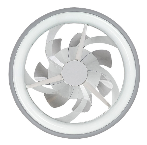 Fanricius 20