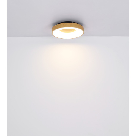 Stropné svietidlo, kov biely/imitácia dreva, plast opál, pamäťová funkcia, nočné svetlo, stmievateľn 10