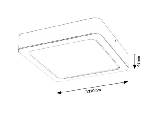 Shaun 2