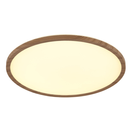 Stropné svietidlo, plast so vzhľadom dreva, satinovaný, biely, niekoľko úrovní cez nástenný spínač, 16