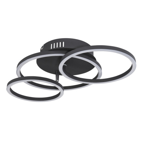 Stropné svietidlo, kov čierny matný, plast opál, priemer kruhu: 30cm, 25cm, 20,5cm, DxŠxV:500x300x95 9