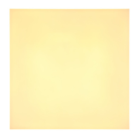 Stropné svietidlo kov biely, plast čierny matný, akryl opál, DxŠxV: 300x300x65mm, LED 18W 230V, 2300 3