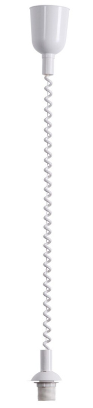 ZAVES 009921 ROLLY BIELY 2