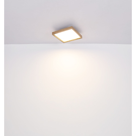 Stropné svietidlo, kov biely, MDF vzhľad dreva, plast opál, fixácia farby, DxŠxV:450x450x85mm, vráta 20