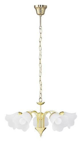 SVIETIDLO 007235 RAFAELLA