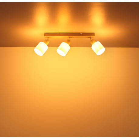 Stropné svietidlo, kov, piesková matná, kov chrómovaný, sklo biele, DxŠxV: 410x80x185mm, bez žiarovi 5