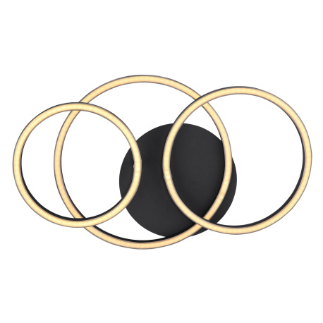 Stropné svietidlo, kov čierny matný, plast opál, priemer kruhu: 30cm, 25cm, 20,5cm, DxŠxV:500x300x95 11