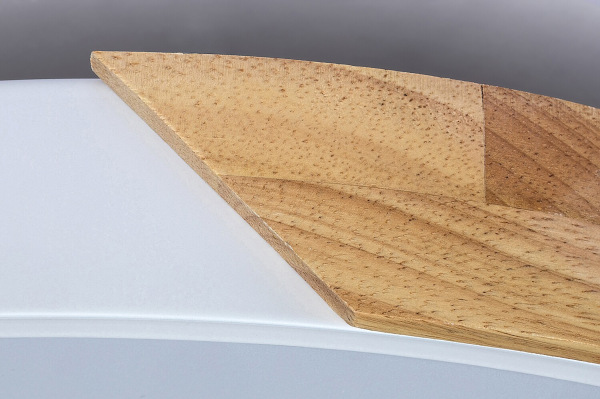 Maple 13