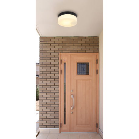 Vonkajšie svietidlo hliník čierny matný, sklo biele, IP44, ø: 184mm, V: 65mm, bez žiarovky 1x E27 IL 8