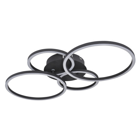 Stropné svietidlo, kov čierny, plast opál, priemer kruhov 2x30cm, 2x20,5cm, DxŠxV: 655x406x75, vráta 2