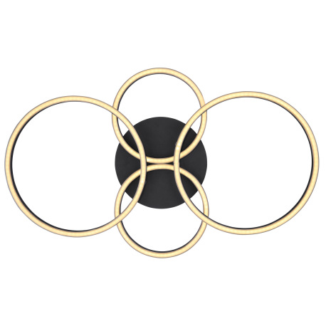 Stropné svietidlo, kov čierny, plast opál, priemer kruhov 2x30cm, 2x20,5cm, DxŠxV: 655x406x75, vráta 10