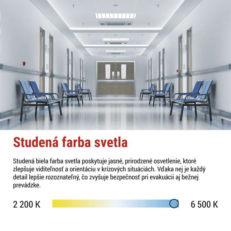 LED Núdzové svietidlo NESSI 4W 3H IP66 4