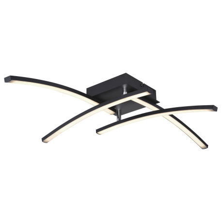 Stropné svietidlo, kov čierny matný, plast biely, nastaviteľné, zmena farby svetla pomocou nástennéh