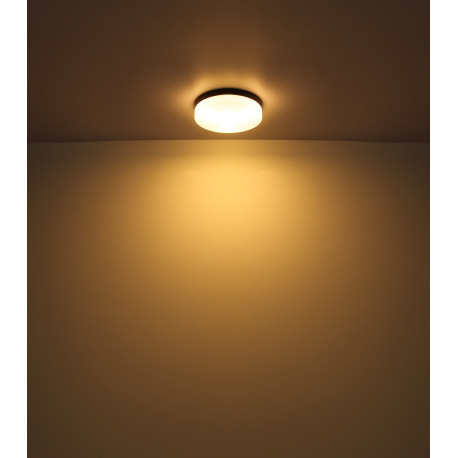 Vonkajšie svietidlo hliník čierny matný, sklo biele, IP44, ø: 184mm, V: 65mm, bez žiarovky 1x E27 IL 4