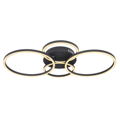Stropné svietidlo, kov čierny, plast opál, priemer kruhov 2x30cm, 2x20,5cm, DxŠxV: 655x406x75, vráta 3