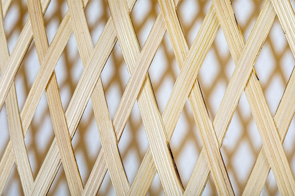 Rattan 12