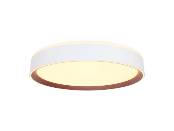 LED stropná lampa OPAL + DO + OVLÁDANIE HLASOM 48W - LC902MV 1