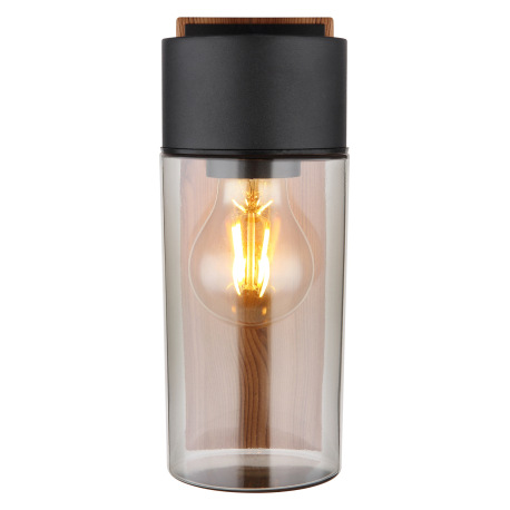 Vonkajšie svietidlo nerezová oceľ imitácia dreva, nerezová oceľ čierna matná, sklo dymovej farby, sm 13