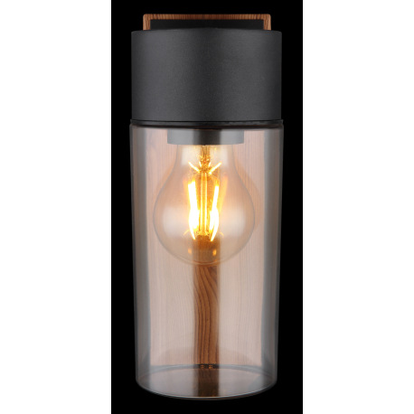 Vonkajšie svietidlo nerezová oceľ imitácia dreva, nerezová oceľ čierna matná, sklo dymovej farby, sm 14