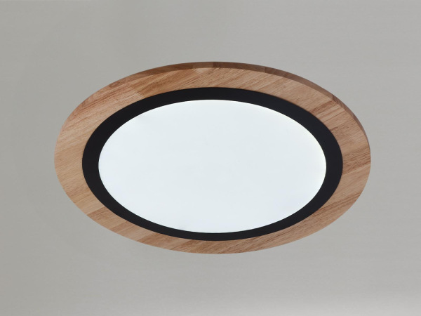 LED stropné svietidlo s diaľkovým ovládačom 25W - J1352/BW 8