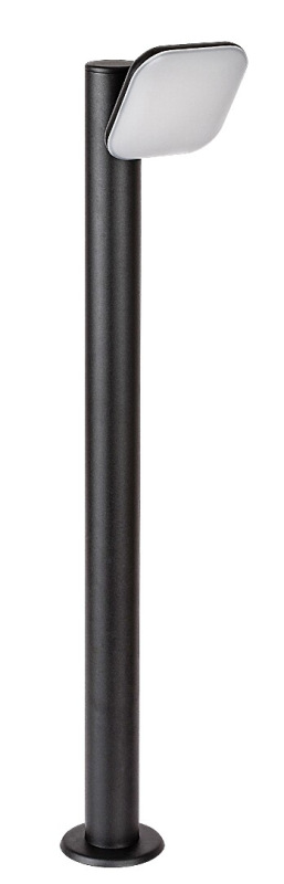 Odiel 8