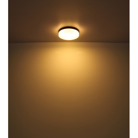 Vonkajšie svietidlo hliník čierny matný, sklo biele, IP44, ø: 240mm, V: 65mm, bez žiaroviek 2xE27 IL 4