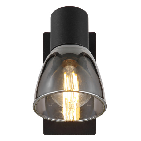 Nástenné svietidlo, kov čierny, dymové sklo, s vypínačom, ŠxV:70x140mm, H: 155mm, bez žiarovky 1x E1 4